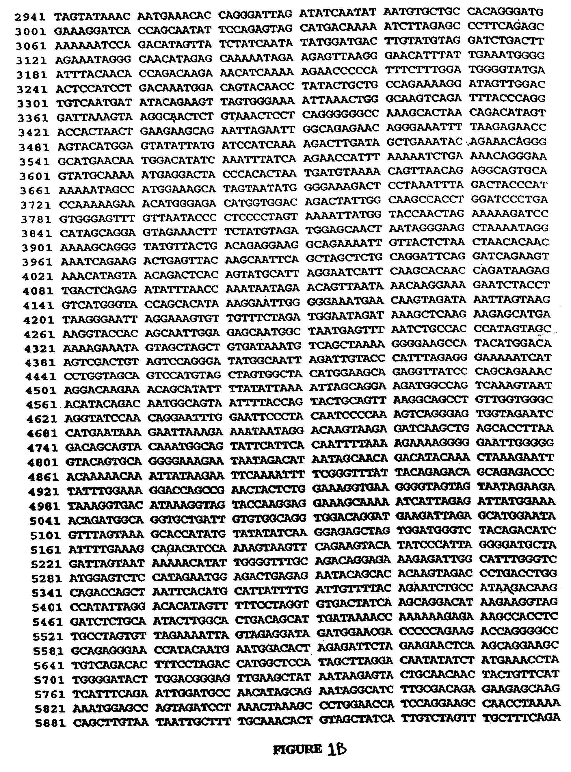 Polynucleotides encoding antigenic HIV type B polypeptides, polypeptides and uses thereof