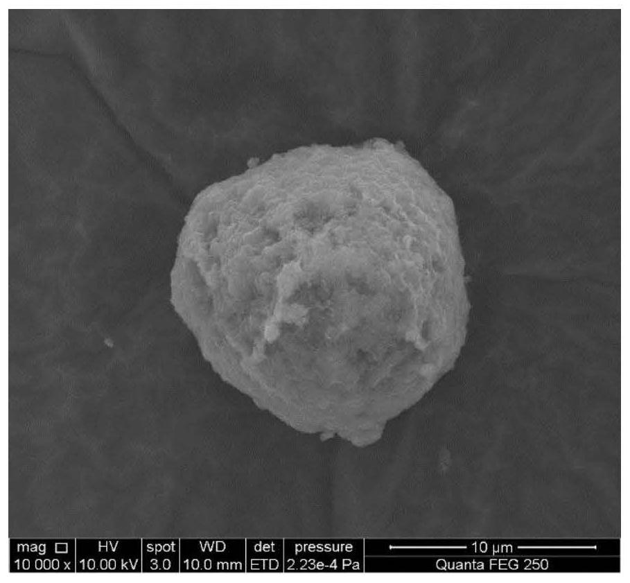 A kind of hydrotalcite and preparation method thereof and application of hydrotalcite in adsorbing pfos pollutants in water body