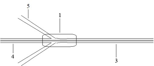 High-power broadband ASE (Amplified Spontaneous Emission) light source in 1064 nm waveband