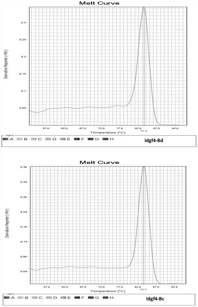 Primer pair for detection of idgf4 gene expression in fruit fly