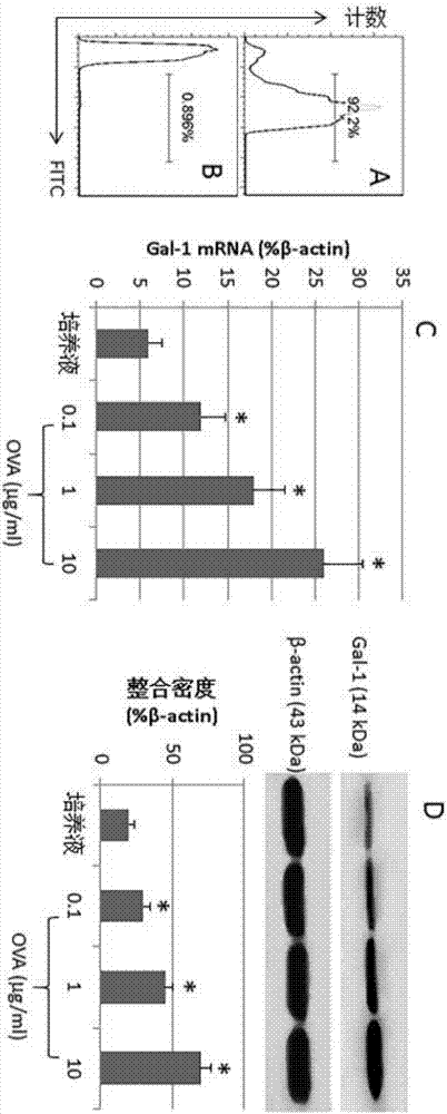 Measuring method for inducing death of antigen specificity CD4&lt;+&gt;T cell