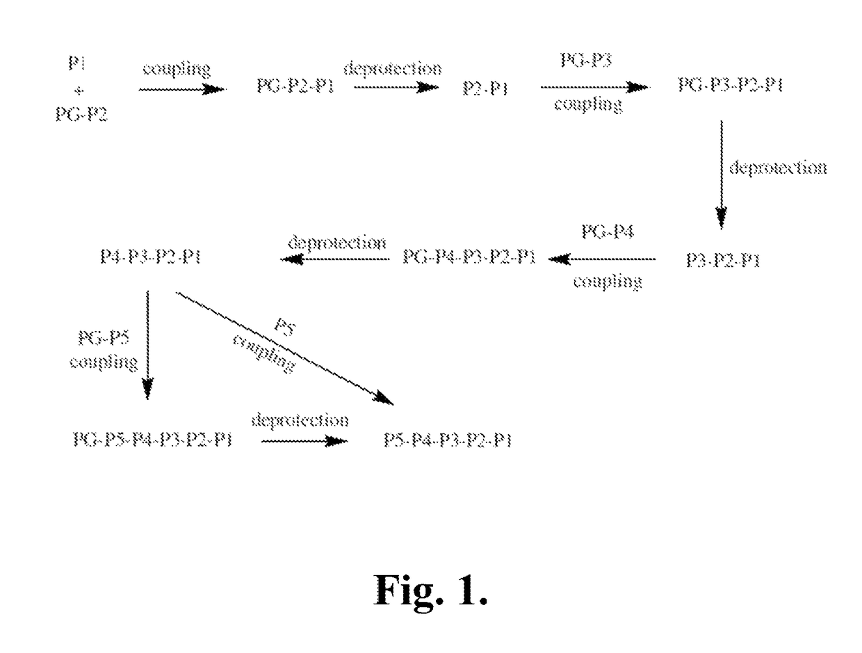 Indoline compounds as granzyme B inhibitors