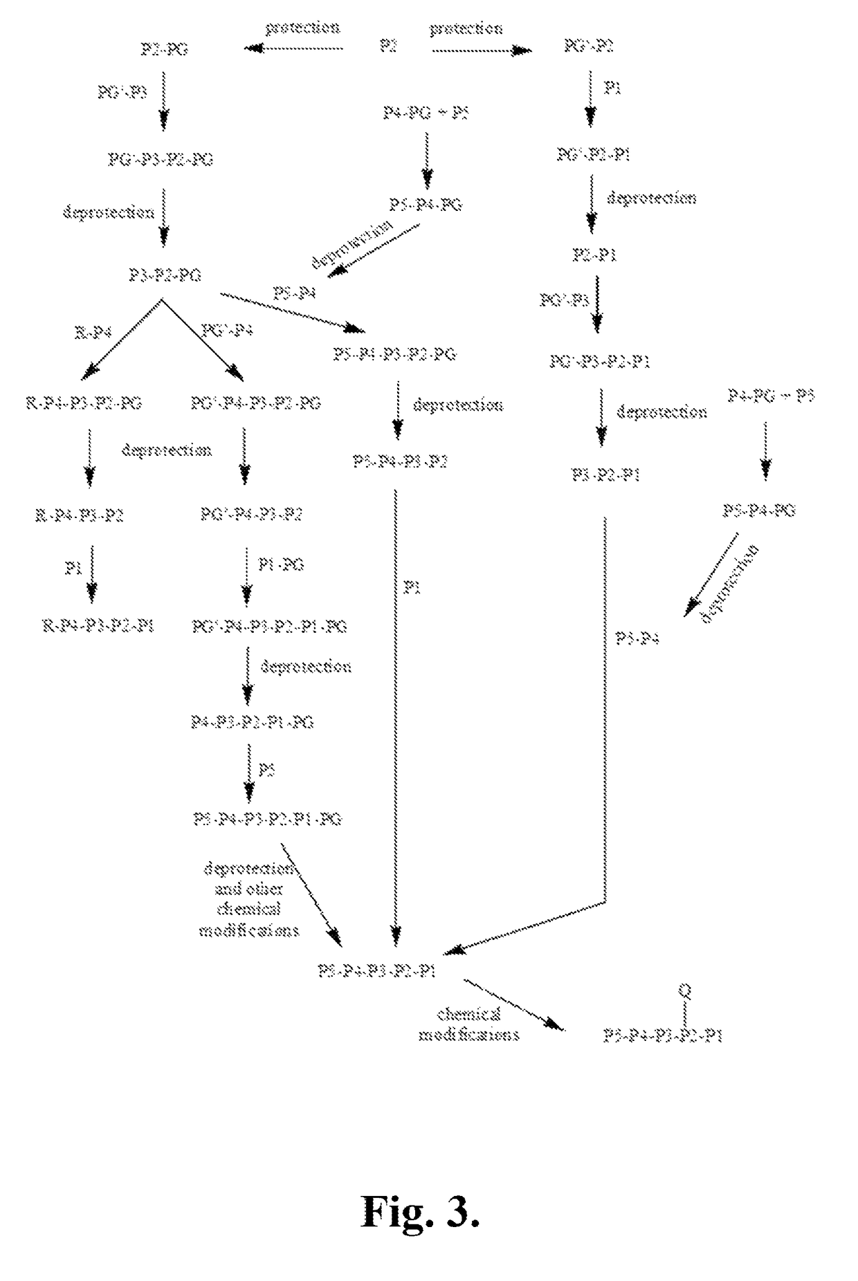 Indoline compounds as granzyme B inhibitors