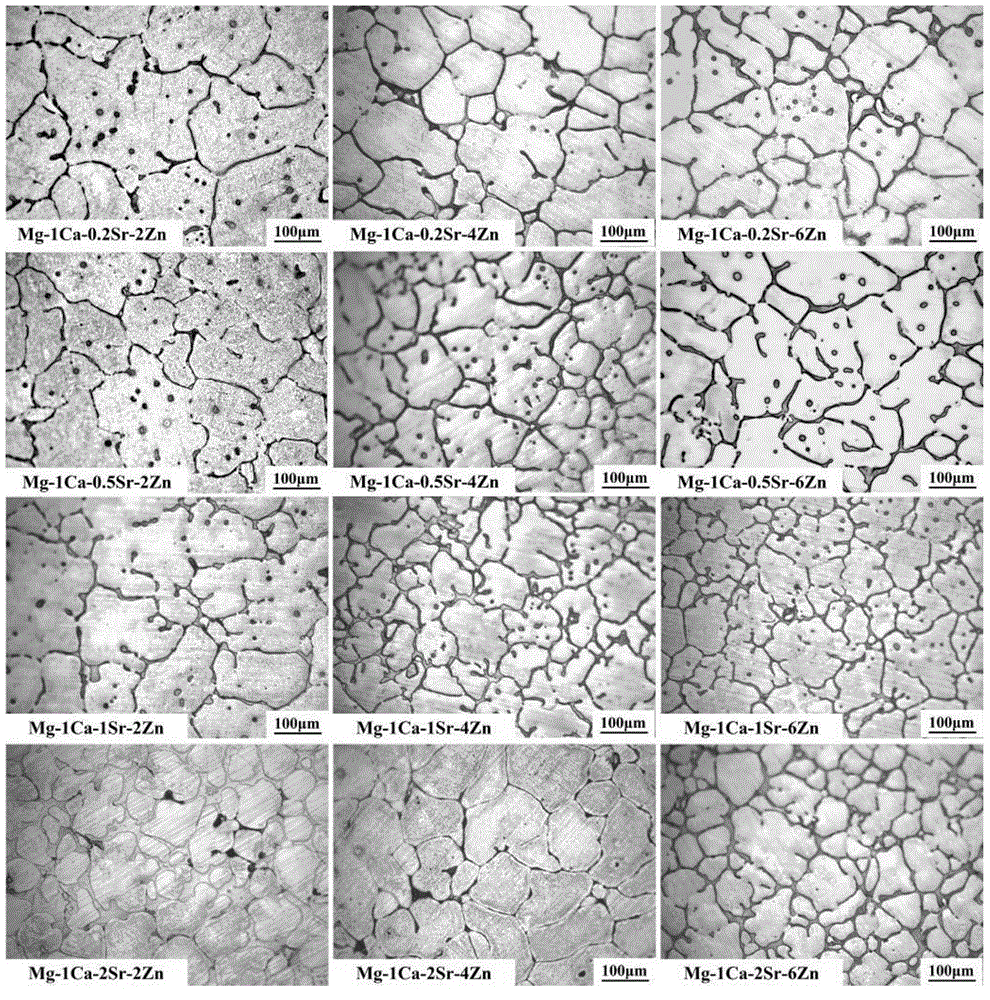 Mg-Ca-Sr-Zn magnesium alloy as well as preparation method and application thereof