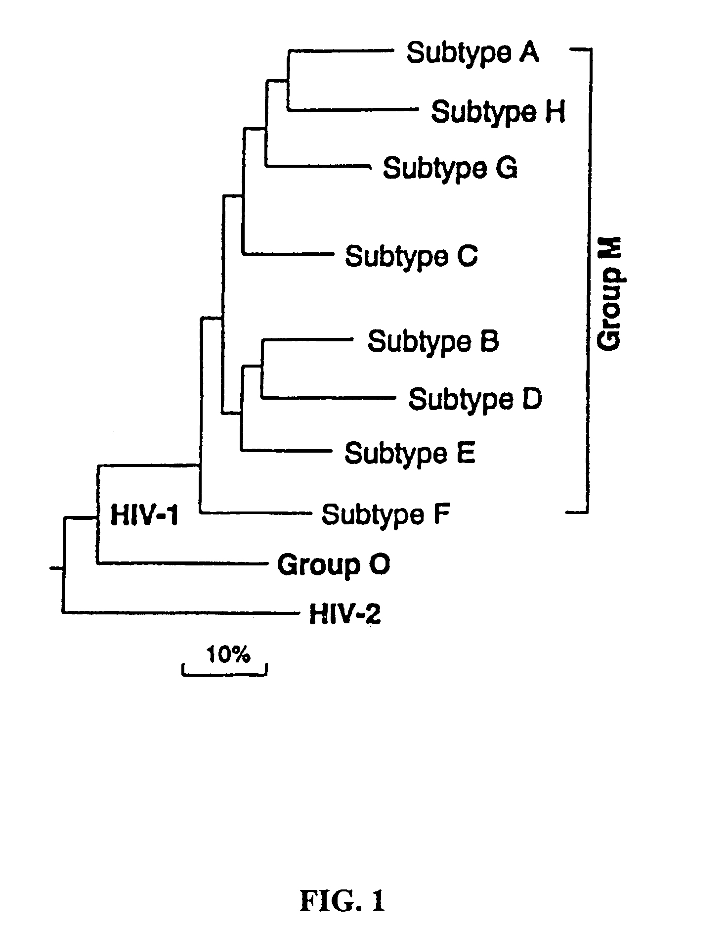 Method for the development of an HIV vaccine