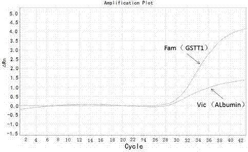 GSTT1 genotyping method based on quantitative PCR technology