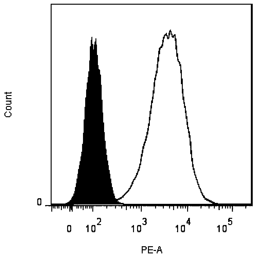 Humanized monoclonal antibody against dec-205 molecule on the surface of dendritic cells