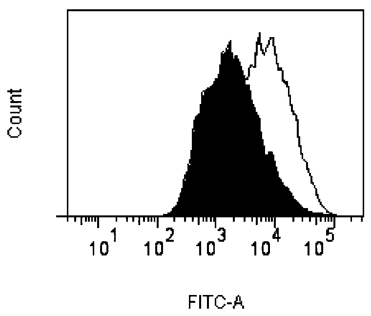 Humanized monoclonal antibody against dec-205 molecule on the surface of dendritic cells