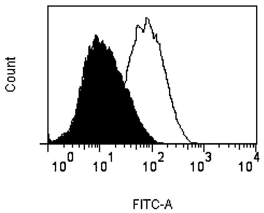 Humanized monoclonal antibody against dec-205 molecule on the surface of dendritic cells