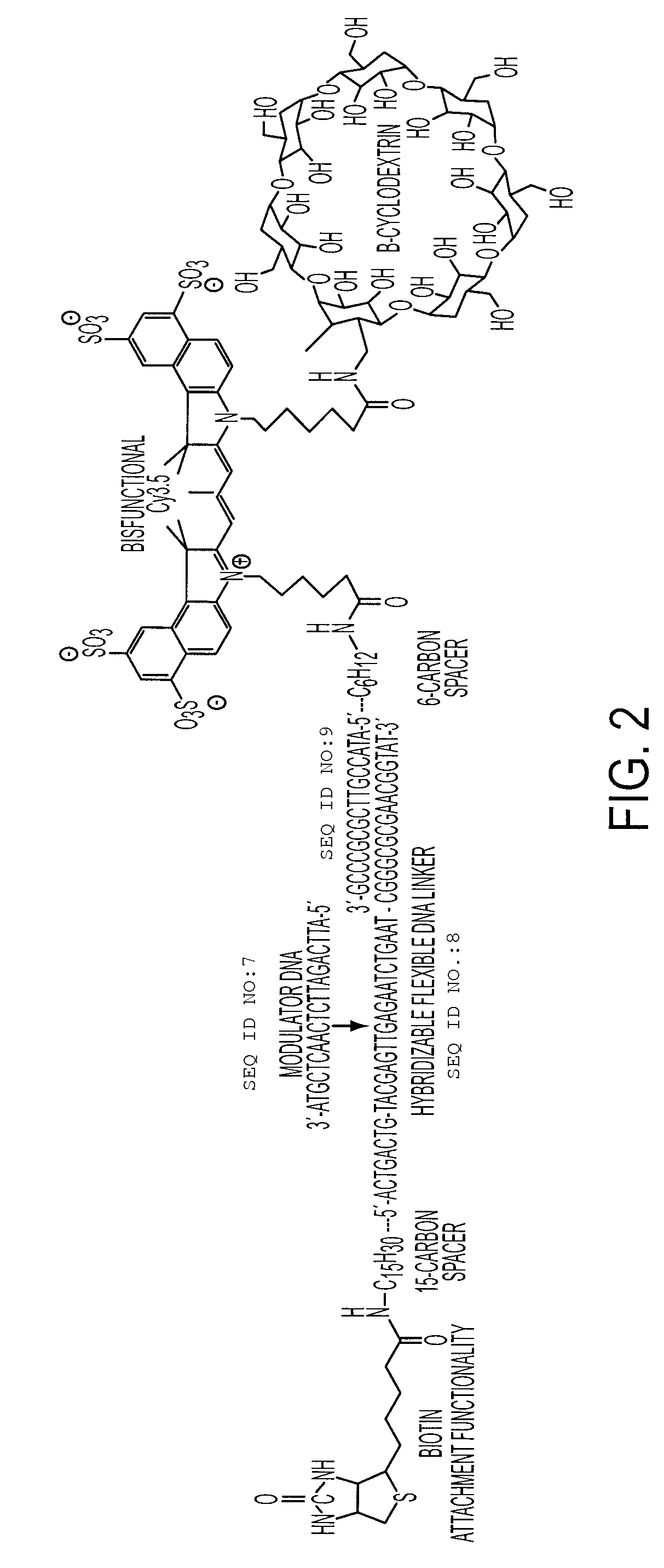 Reagentless and Reusable Biosensors with Tunable Differential Binding  Affinities and Methods of Making