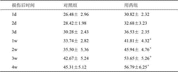 Pharmaceutical composition for promoting nerve damage restoration and application thereof