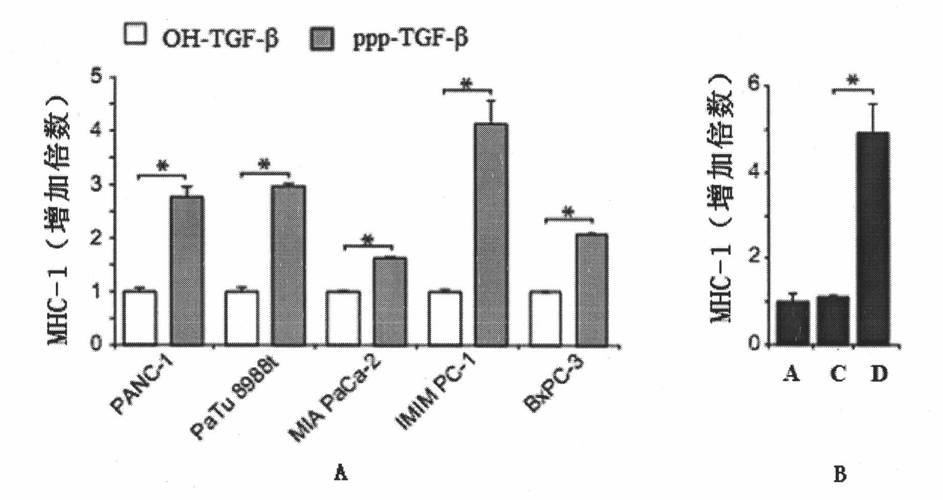TGF-beta specific siRNA containing free triphosphoric acid group and application thereof