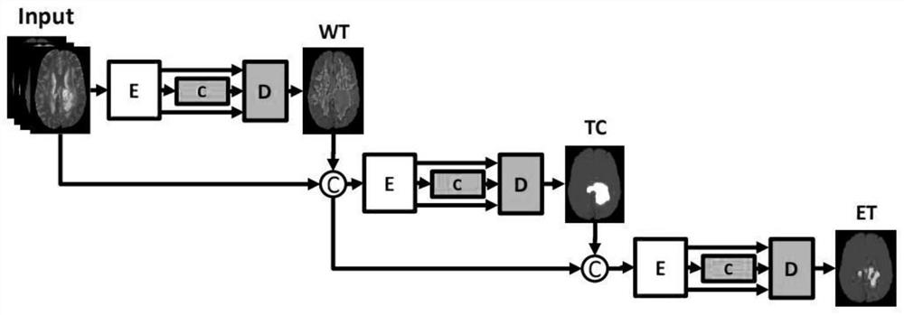 A Brain Tumor Segmentation Method Based on Multi-Hierarchical Relational Learning Network