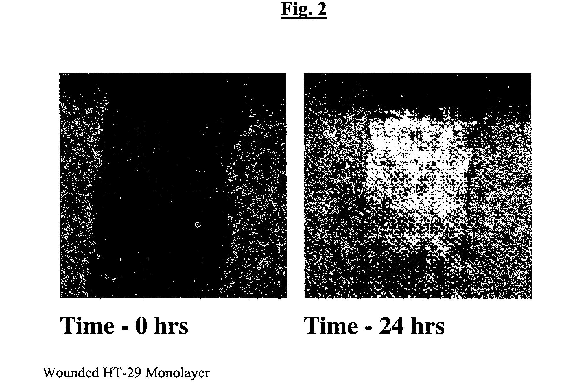 Repair and protection factor scoring method for bioactive agents
