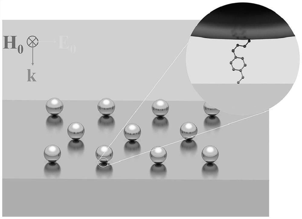 A surface-enhanced Raman sensing substrate based on Fano resonance and its preparation method