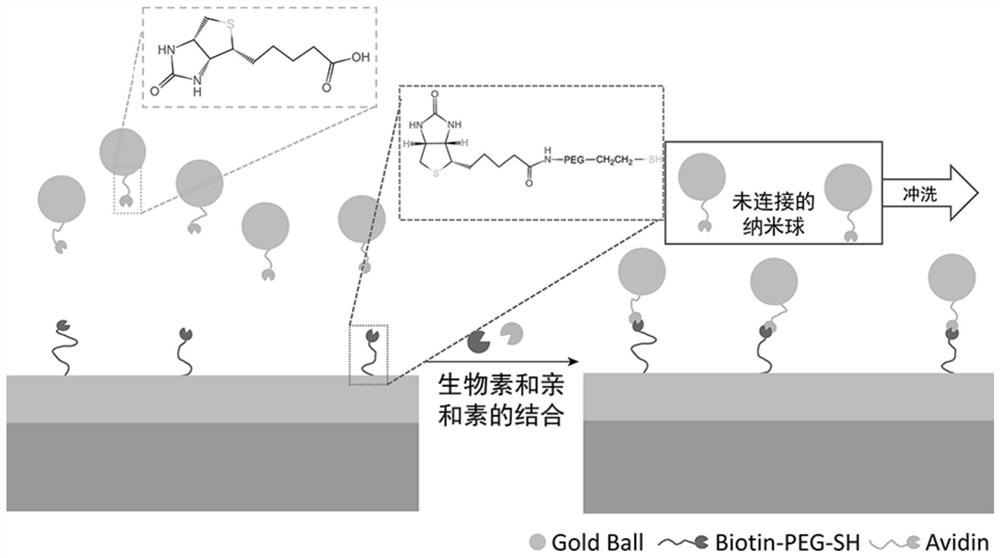 A surface-enhanced Raman sensing substrate based on Fano resonance and its preparation method