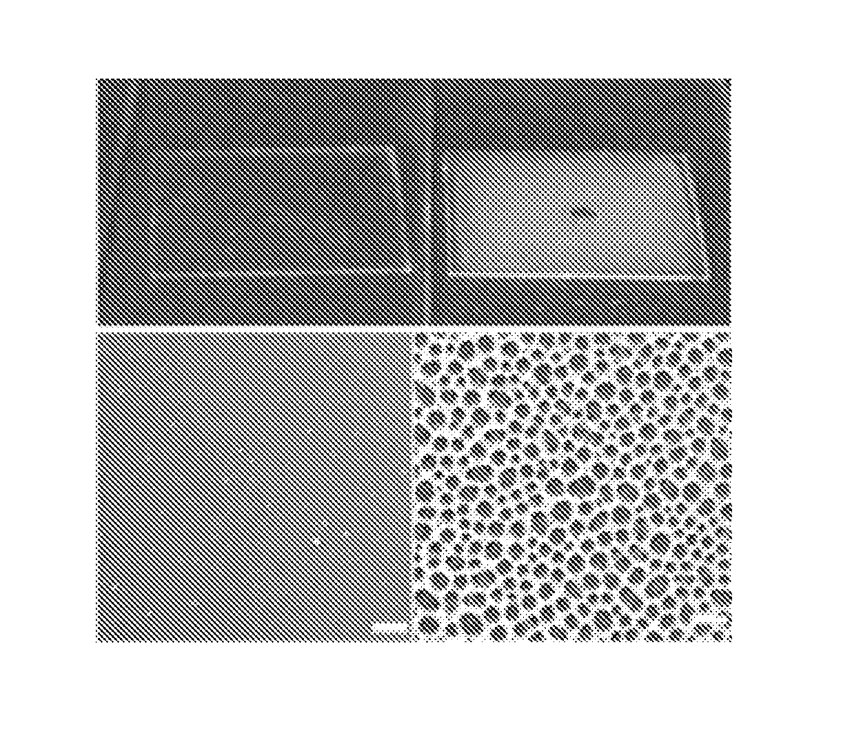 Process for the modification of polymers, in particular polymer nanoparticles