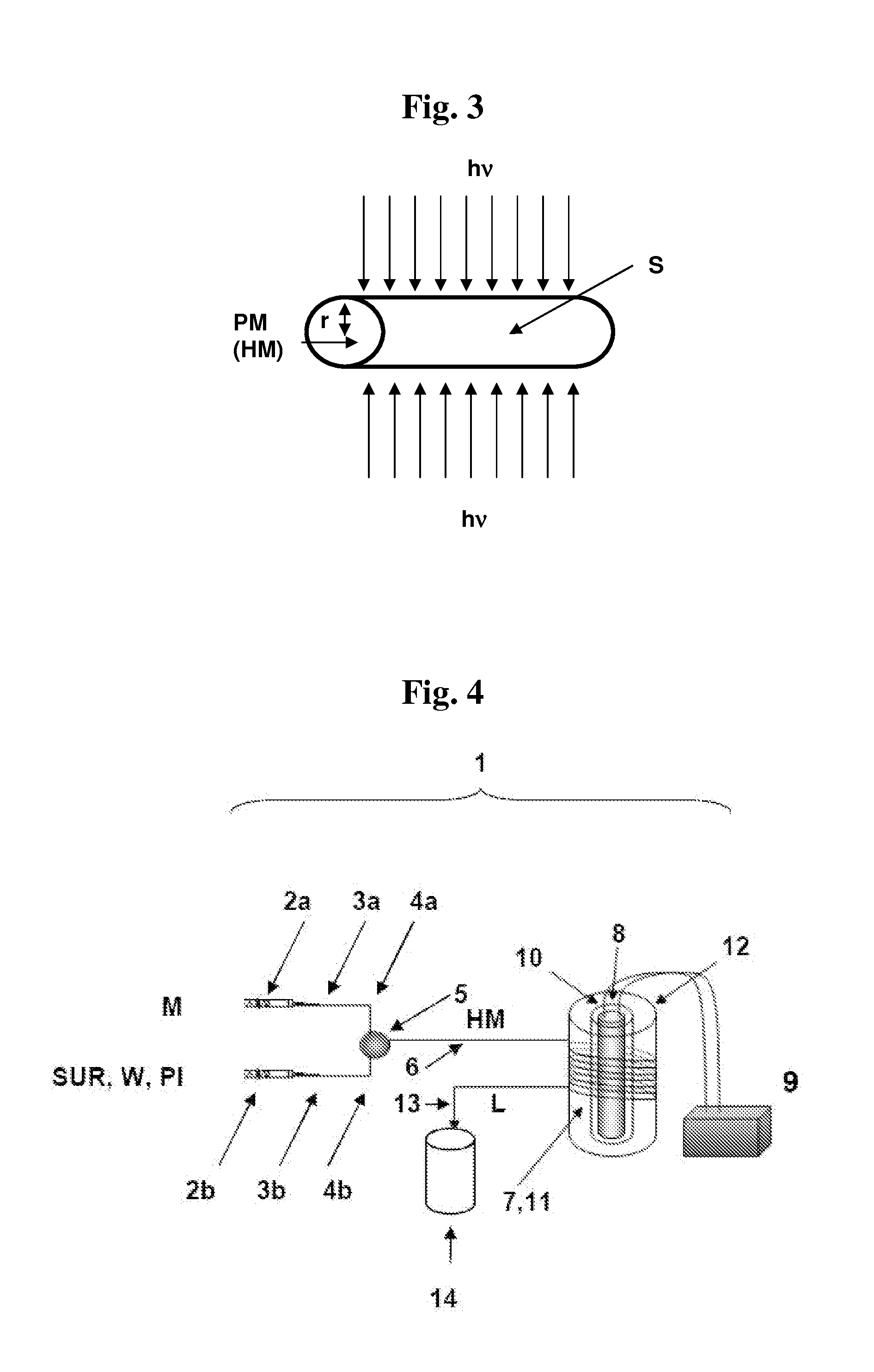 Process for the modification of polymers, in particular polymer nanoparticles