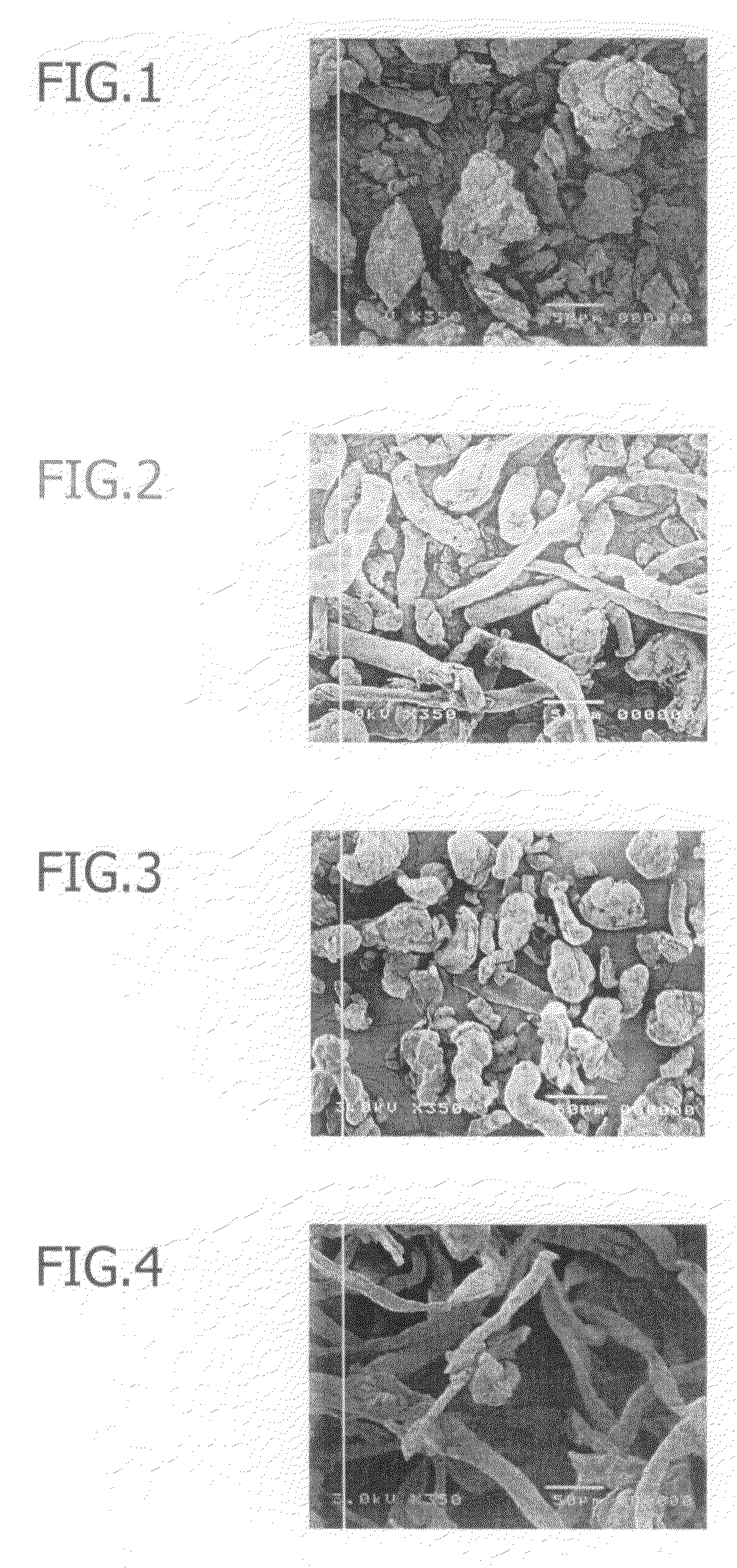 Low-substituted hydroxypropylcellulose powder and method for producing the same