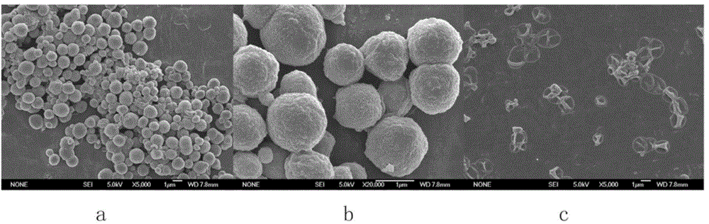 Bacillus thuringiensis protoxin microcapsule and preparation method thereof