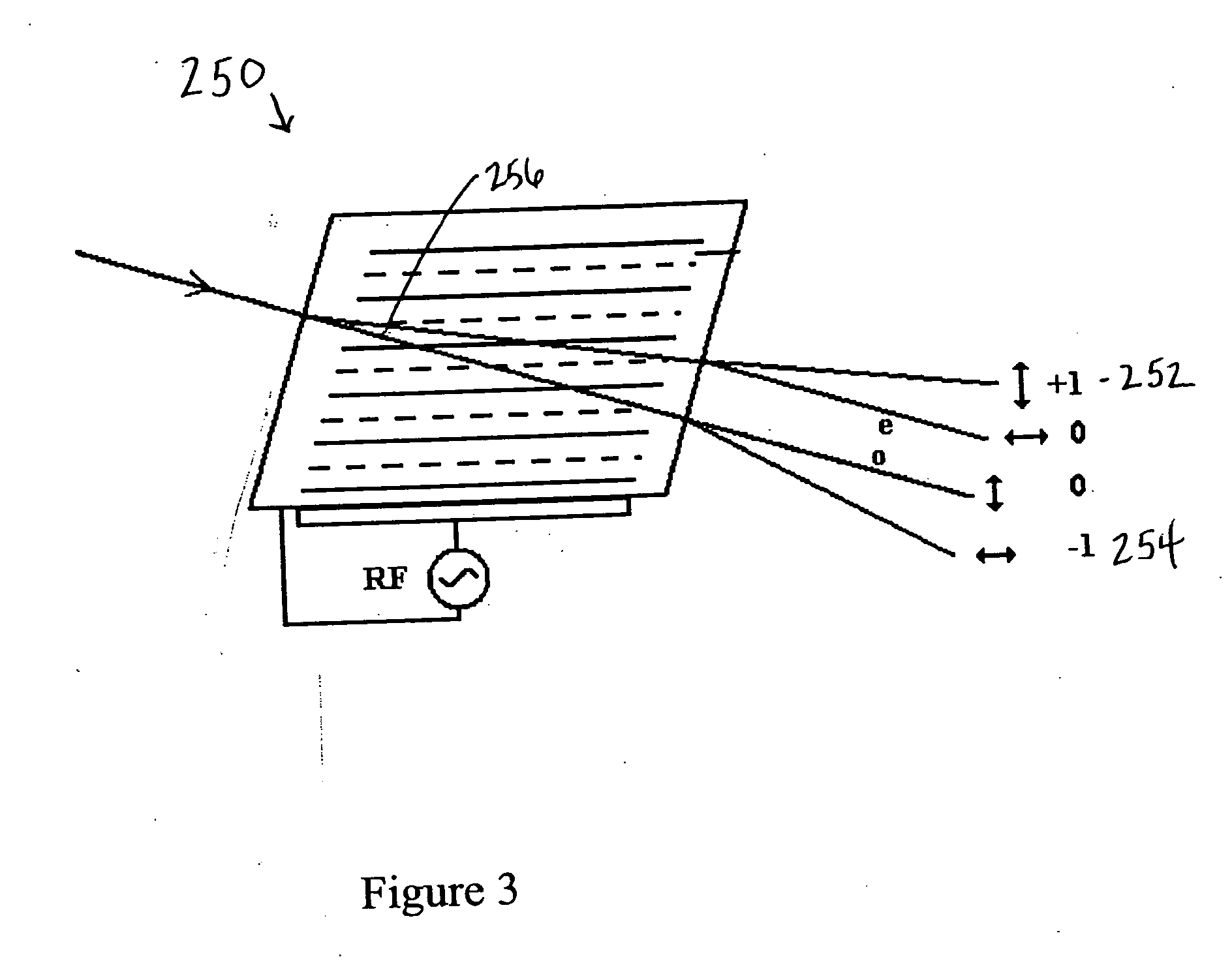 System and method for rapid detection and characterization of bacterial colonies using forward light scattering