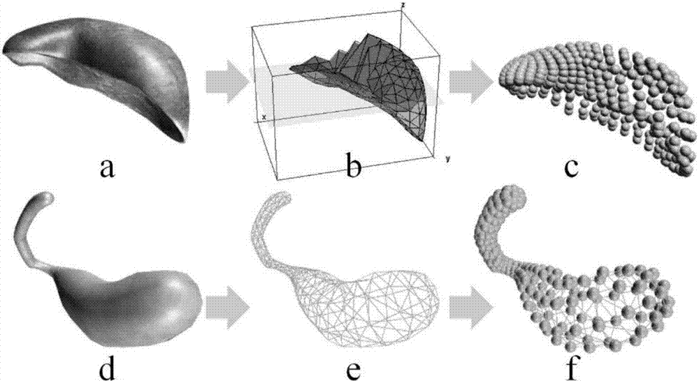 Real-time soft tissue deformation method and system for simulating biomechanical properties