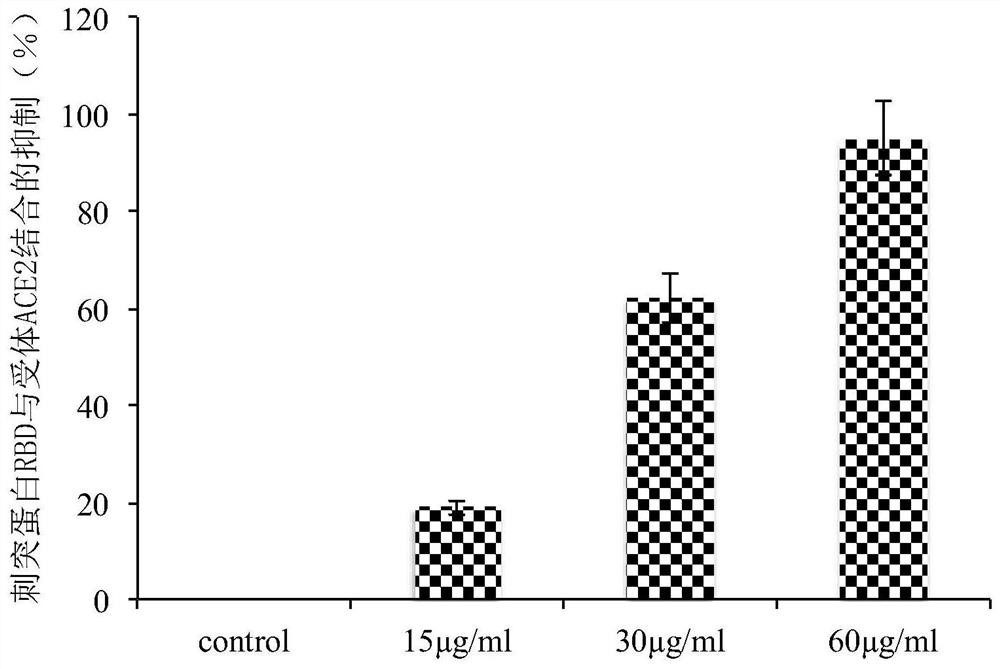 Application of Yiqing compound preparation to preparation of drugs for preventing/treating novel coronavirus infection