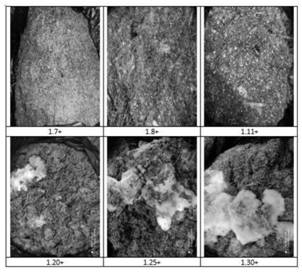 Trichoderma harzianum and application thereof in degradation of waste branches in orchard