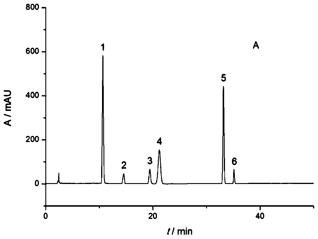 Method for determining content of six polyphenol compounds in compound red skin blood-enriching oral liquid