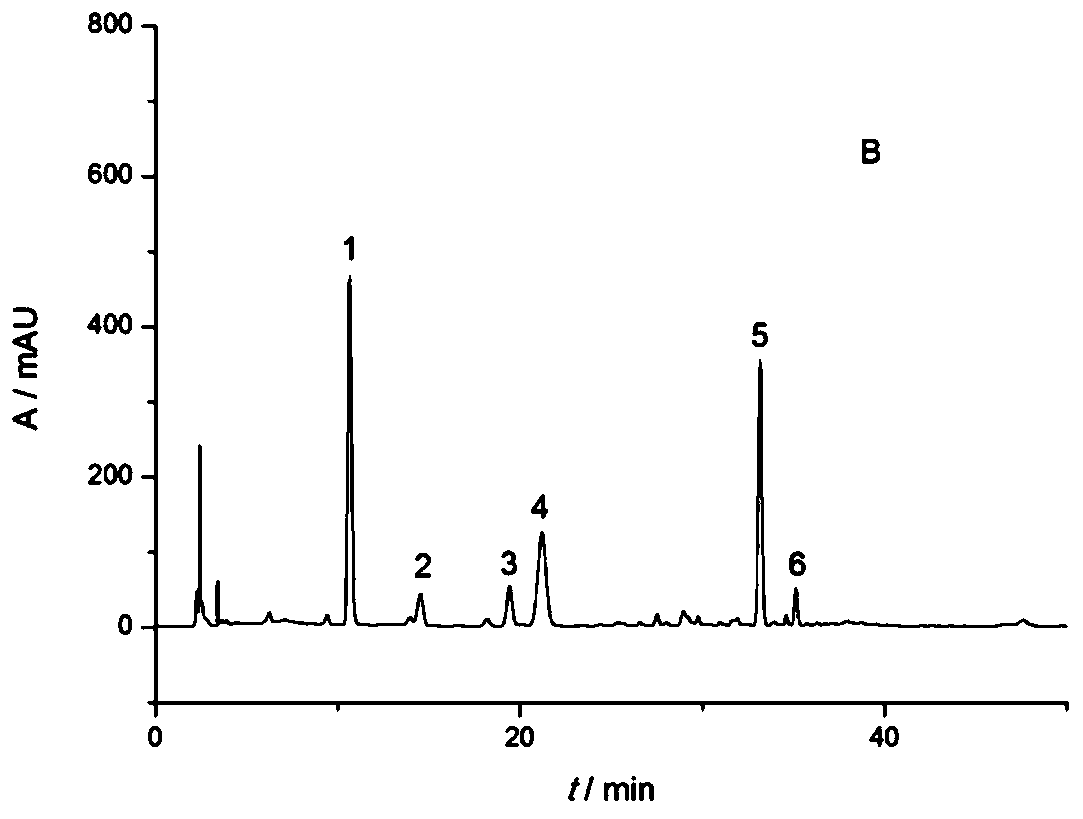 Method for determining content of six polyphenol compounds in compound red skin blood-enriching oral liquid