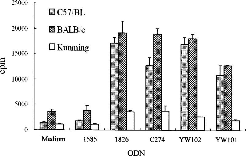 Oligonucleotide with breast carcinoma treating function