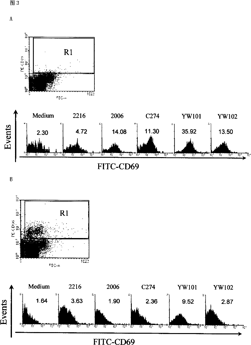 Oligonucleotide with breast carcinoma treating function