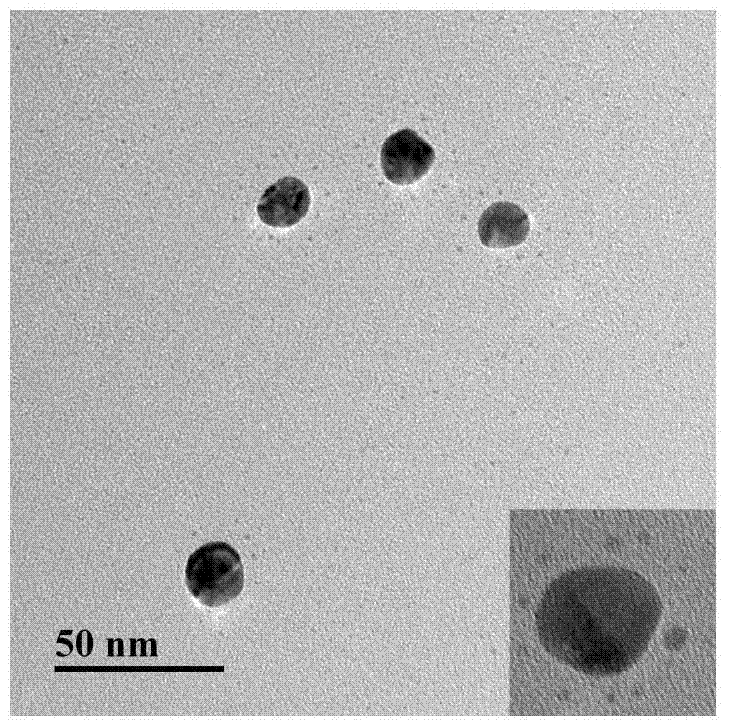 A method for detecting bisphenol-a based on quantum dot-gold nano-assembled superstructure