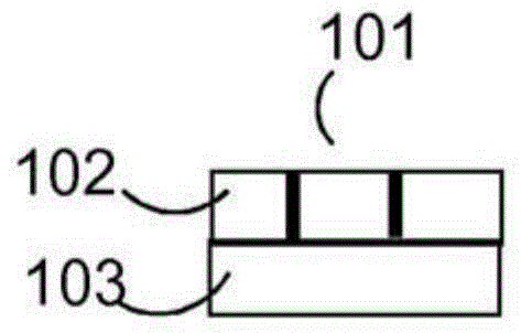 An article comprising a film on a carrier or release substrate