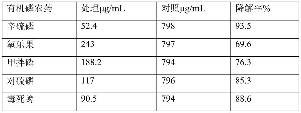 Microbial agent capable of promoting growth, biocontrol and degrading organophosphorus pesticide and preparation method thereof