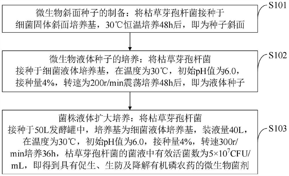 Microbial agent capable of promoting growth, biocontrol and degrading organophosphorus pesticide and preparation method thereof