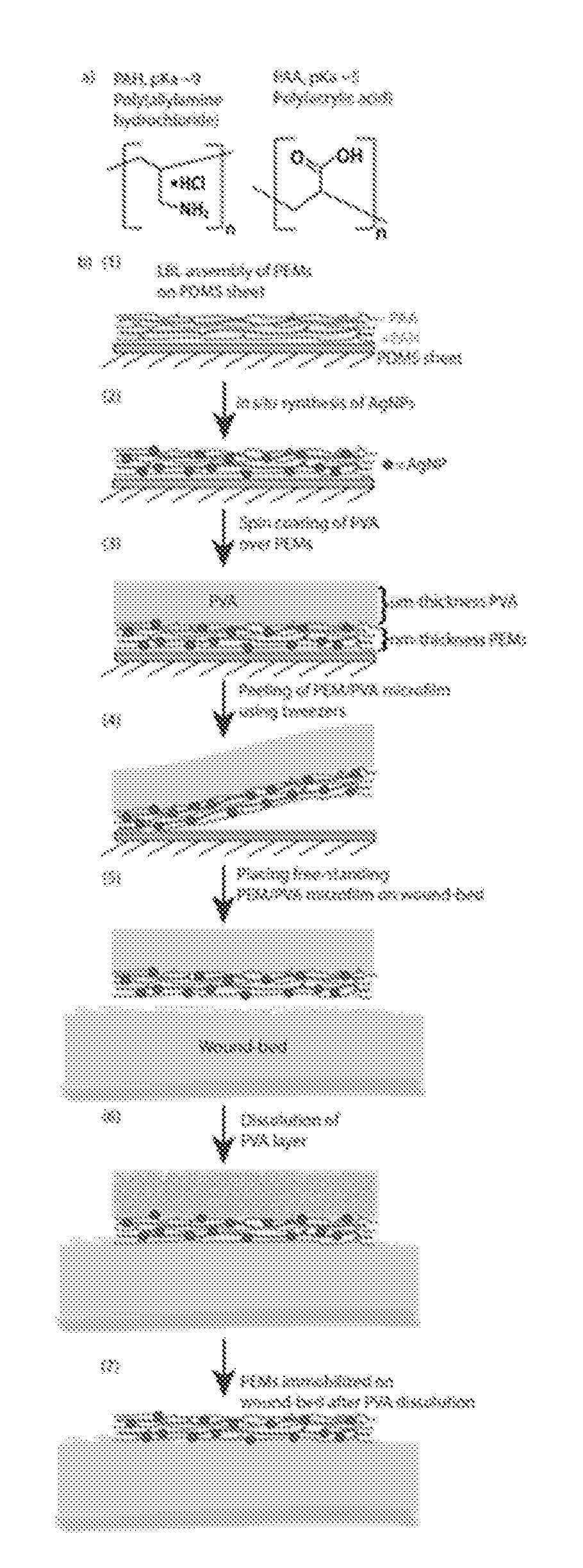 Methods and compositions for wound healing