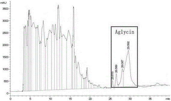 Method for preparing soybean Aglycin family peptide by using acetic acid