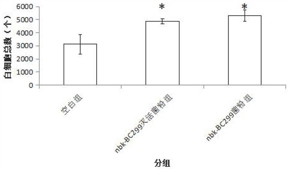 A strain of Lactobacillus plantarum and its application