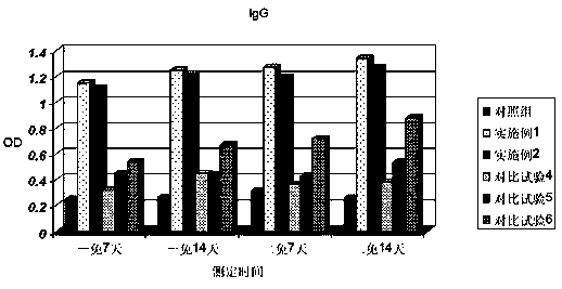 Oral attenuated lyophilized vaccine for swine fever and preparation method thereof