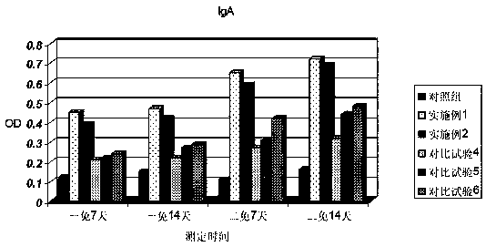 Oral attenuated lyophilized vaccine for swine fever and preparation method thereof