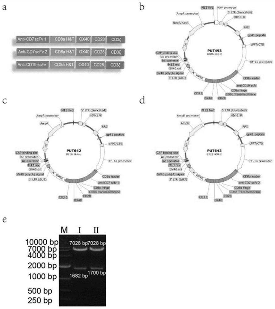 Blocking antibody and application thereof in preparation of CAR-T cell of targeting T cell expression antigen