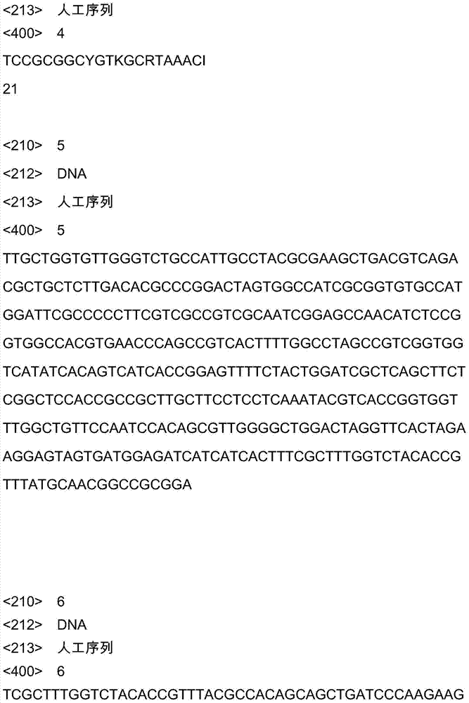 Aquaporin gene specifically expressed by virtue of chorispora bungeana root as well as protein encoded by aquaporin gene and method for cloning aquaporin gene