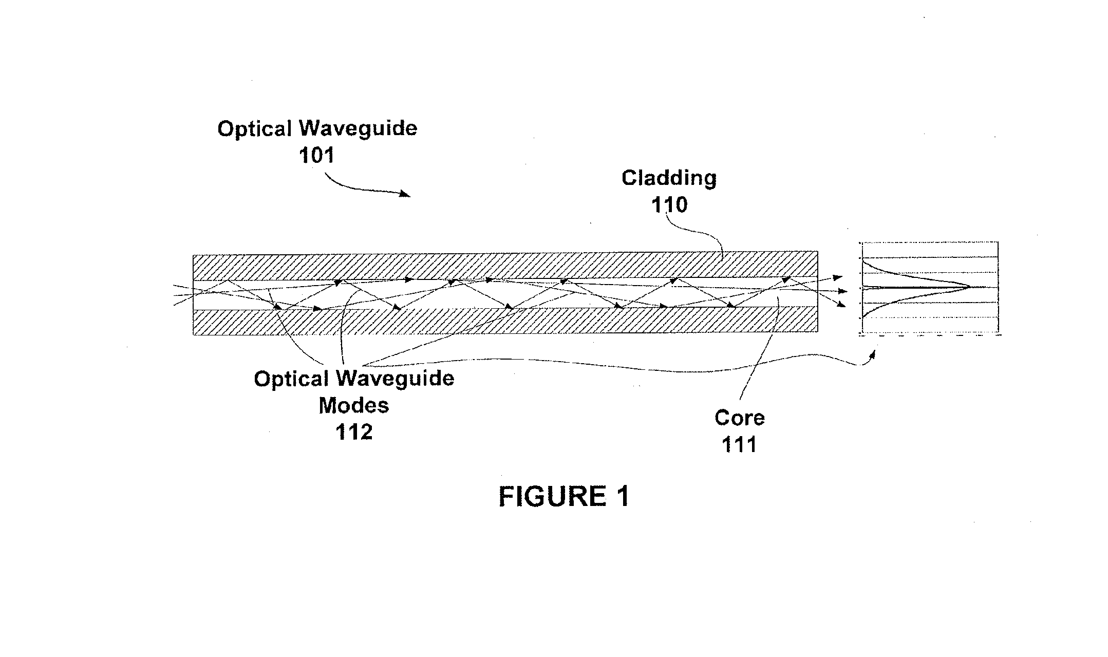 Waveguide-based detection system with scanning light source