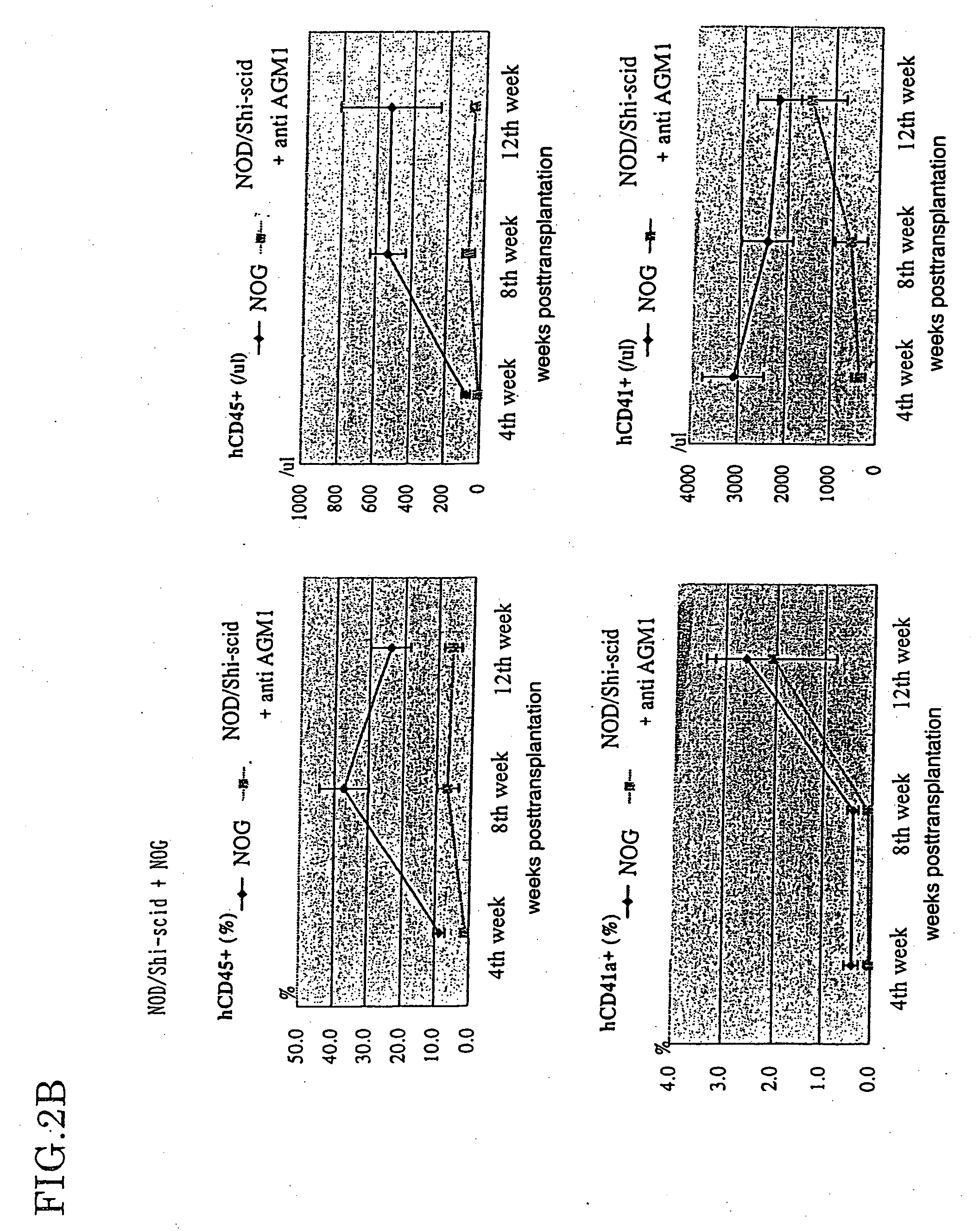 Method of producing a mouse suitable for engraftment, differentiation and proliferation of heterologous cells, mouse produced by this method and use of the mouse