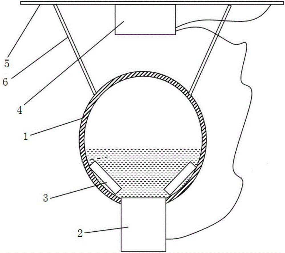 Ultrasonic water treatment device for agricultural irrigation