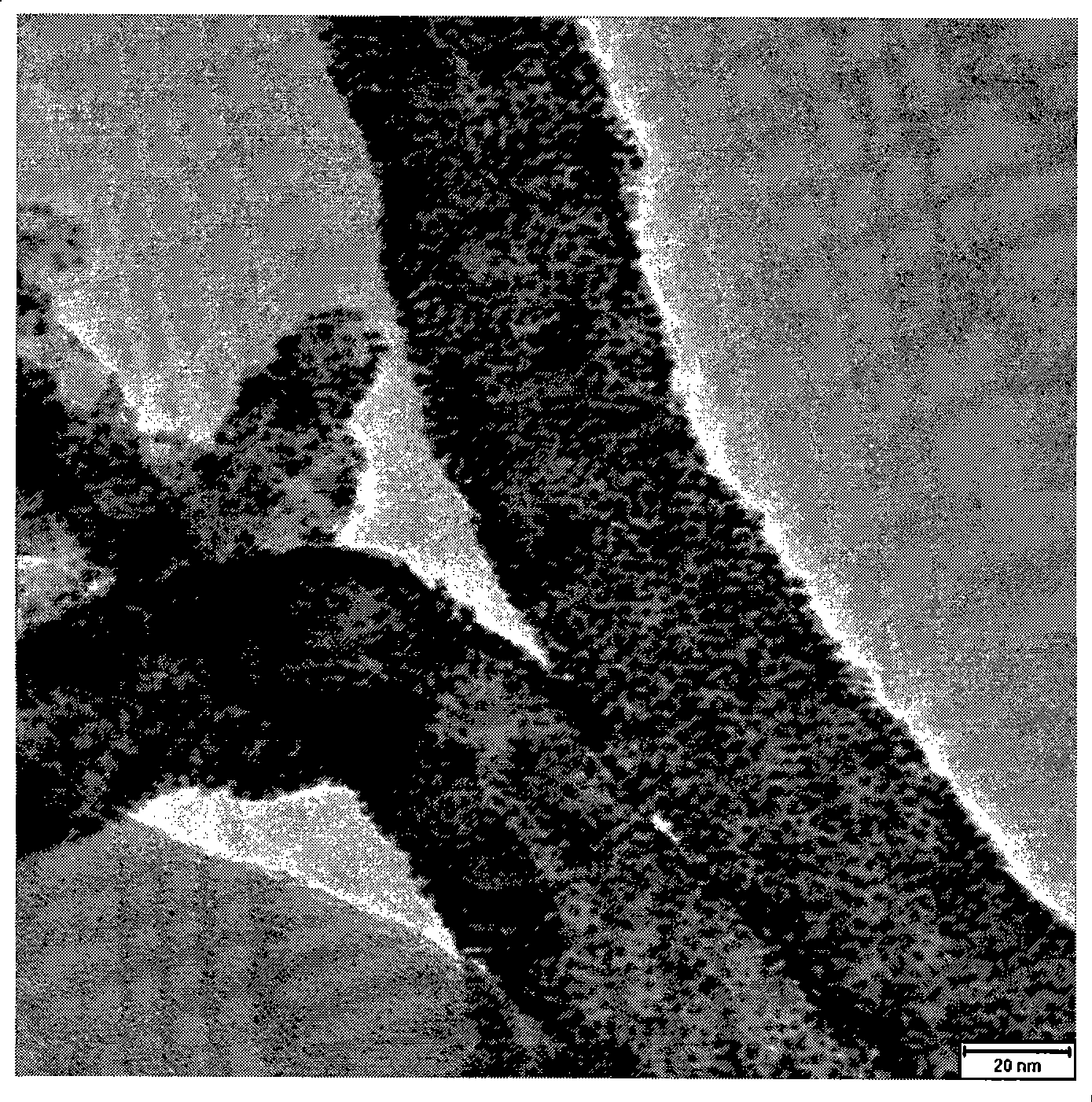 Carbon nanotube and metal nano-particle complexes and synthetic method thereof