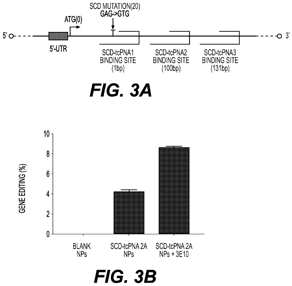Compositions and methods for enhancing triplex and nuclease-based gene editing
