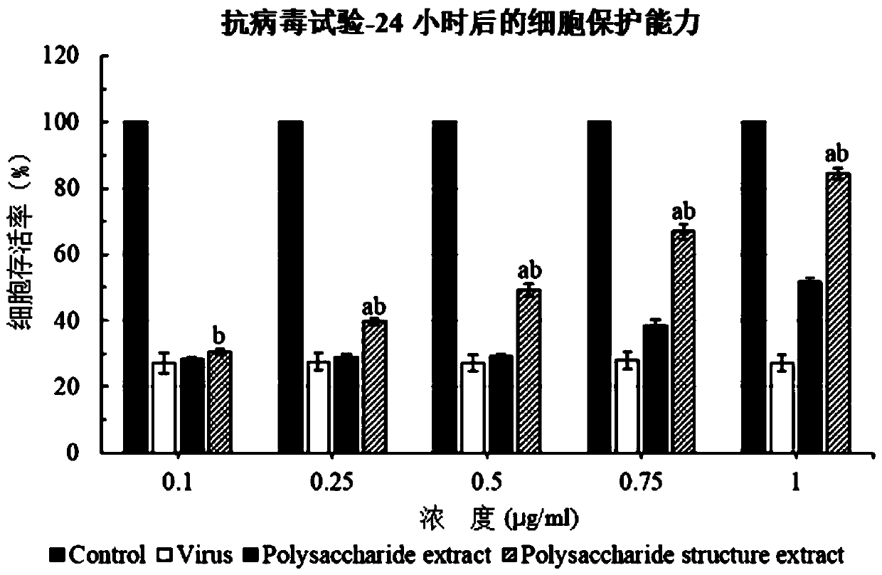 Polysaccharide fermentation composition capable of resisting cancer, virus and inflammation, promoting osteoblast proliferation and promoting intestinal stem cell proliferation and preparation method