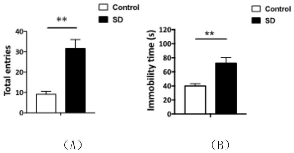 Circadian rhythm sleep disorder biomarkers